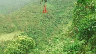 Columbiaanse in het Bos te Geven Taal en Geneukt met Vreemden Seks in Ruil Voor Financiële Hulp.